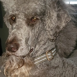 Entry image for Murphy Brown