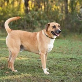 Entry image for Kratos