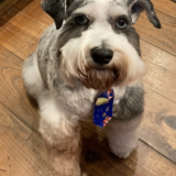 Entry image for Bart