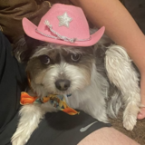 Entry image for Mercy