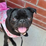 Entry image for Marcy