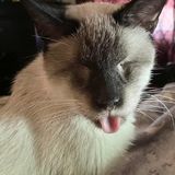 Entry image for George 