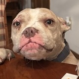 Entry image for Shirley