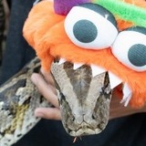 Entry image for Titus