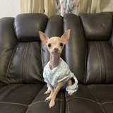 Entry image for Teenie