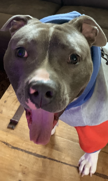 Entry image for Snoopy. Clicking this image will show a larger photo