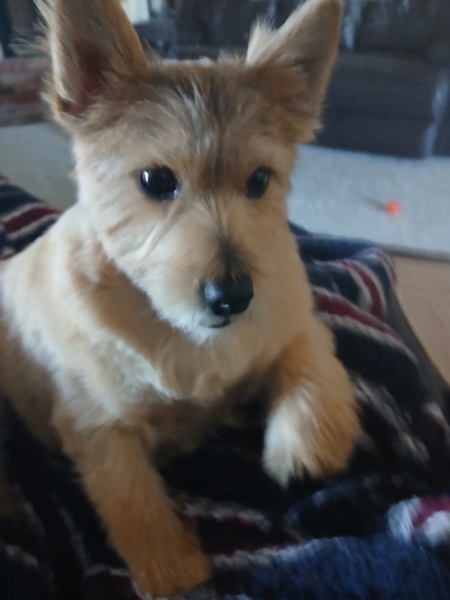 Entry image for Lynzie. Clicking this image will show a larger photo