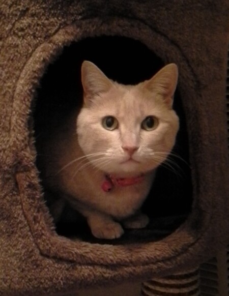 Entry image for Khaki. Clicking this image will show a larger photo