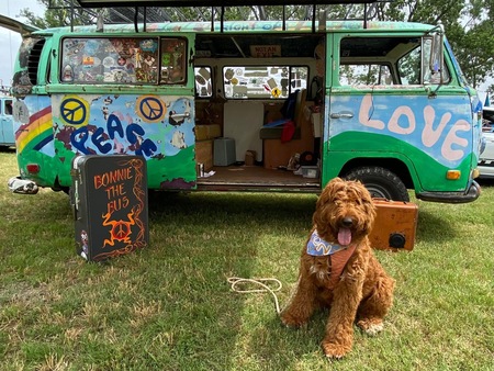 Entry image for Anna. Clicking this image will show a larger photo