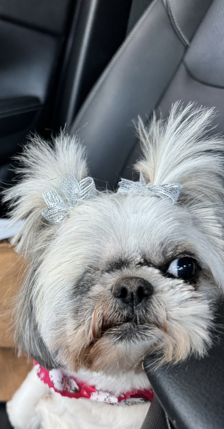 Entry image for Tesha Jane. Clicking this image will show a larger photo