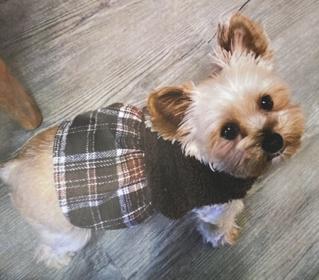 Entry image for Cupcake. Clicking this image will show a larger photo