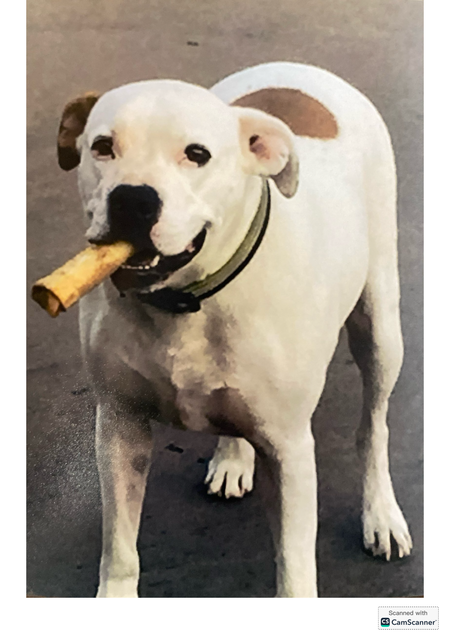 Entry image for Hannah. Clicking this image will show a larger photo