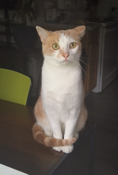 Entry image for Wailin'. Clicking this image will show a larger photo