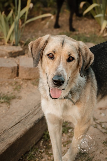 Entry image for Curtis. Clicking this image will show a larger photo