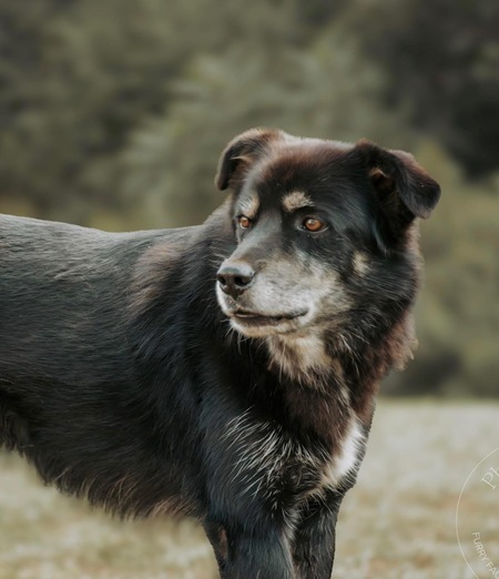 Entry image for Franklin Michael. Clicking this image will show a larger photo