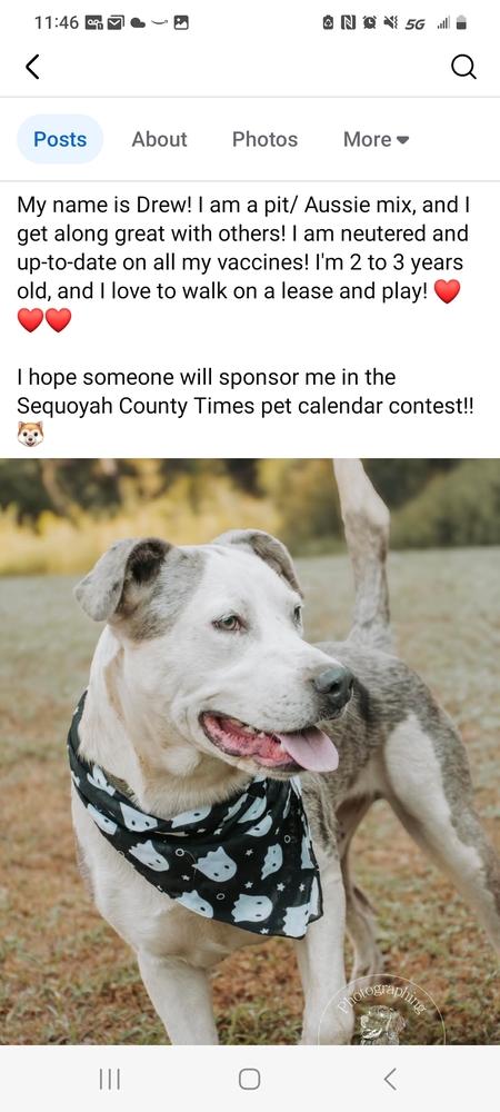 Entry image for Drew. Clicking this image will show a larger photo