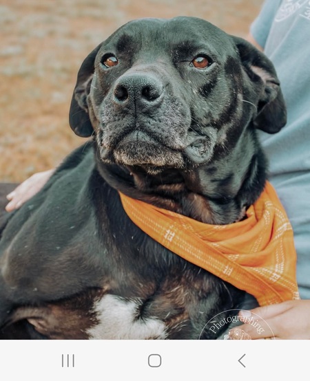 Entry image for Midnight. Clicking this image will show a larger photo