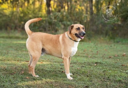 Entry image for Kratos. Clicking this image will show a larger photo