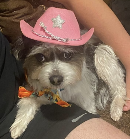 Entry image for Mercy. Clicking this image will show a larger photo