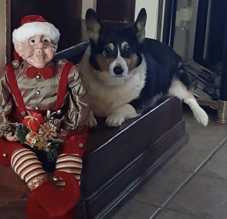 Entry image for Watts. Clicking this image will show a larger photo