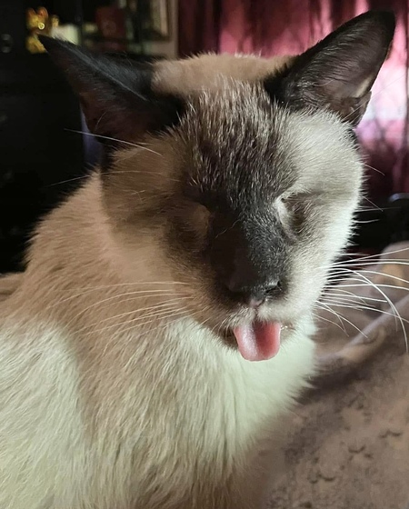 Entry image for George . Clicking this image will show a larger photo