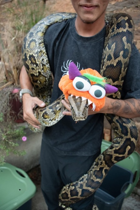 Entry image for Titus. Clicking this image will show a larger photo