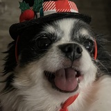 Entry image for Jackelam 