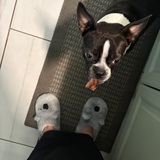 Entry image for Lulu 