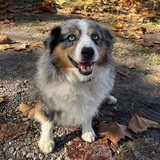 Entry image for Baylor