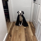 Entry image for Sally Mae (Mae-Mae) 