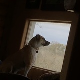 Entry image for Millie