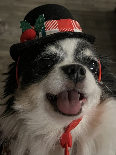 Entry image for Jackelam . Clicking this image will show a larger photo