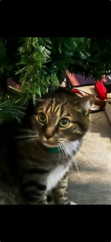 Entry image for Max. Clicking this image will show a larger photo