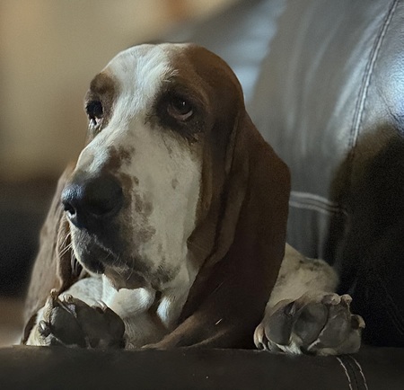 Entry image for Norman Peterson. Clicking this image will show a larger photo