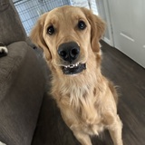 Entry image for Waldo