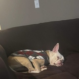 Entry image for Dianne