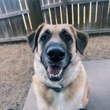 Entry image for Maine