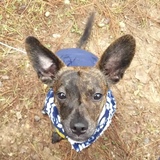 Entry image for Roux