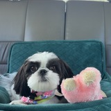 Entry image for Micah