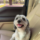 Entry image for Cash