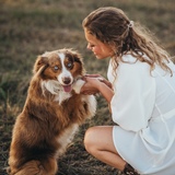 Entry image for Drake