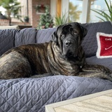 Entry image for Conway