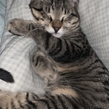 Entry image for Emma