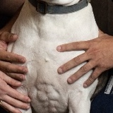 Entry image for Zeus