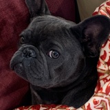 Entry image for RubyKate Cannon