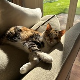 Entry image for Bhad Bhabie aka Baby