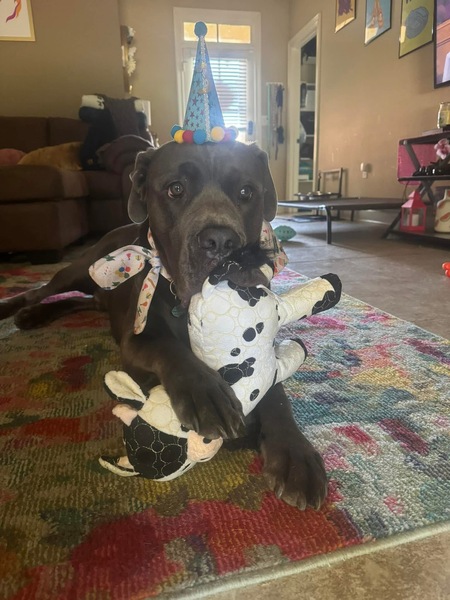 Entry image for Astro. Clicking this image will show a larger photo