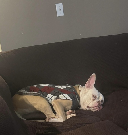 Entry image for Dianne. Clicking this image will show a larger photo