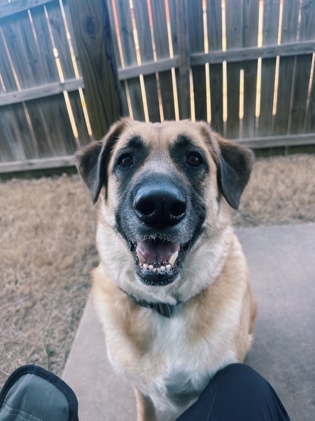 Entry image for Maine. Clicking this image will show a larger photo