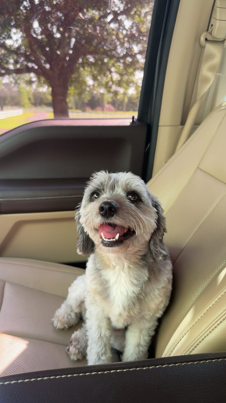 Entry image for Cash. Clicking this image will show a larger photo